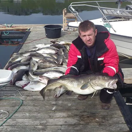 Hotel Repvag Отель *