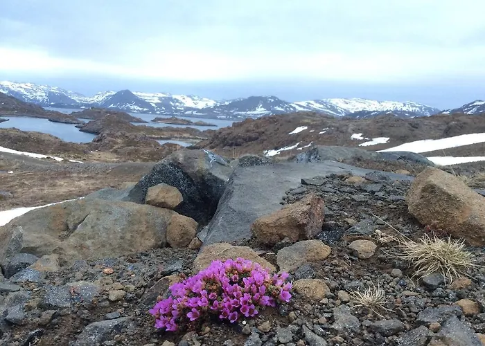 Hotel Hotel Repvag *