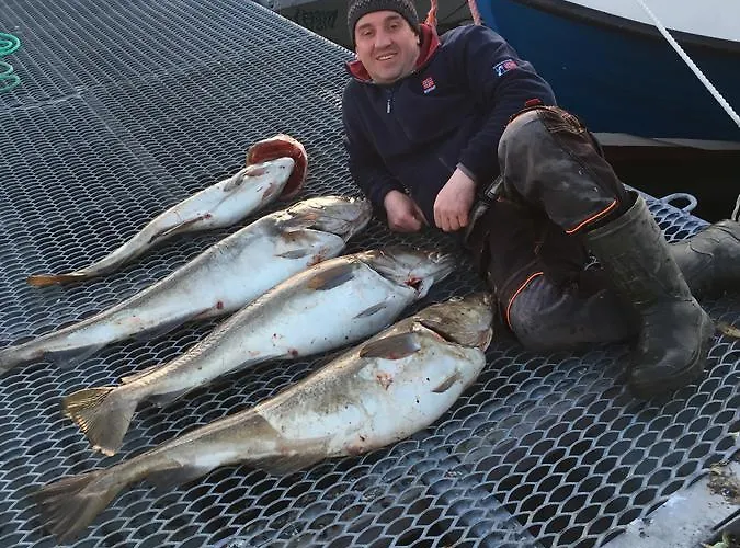 Hotel Hotel Repvag *